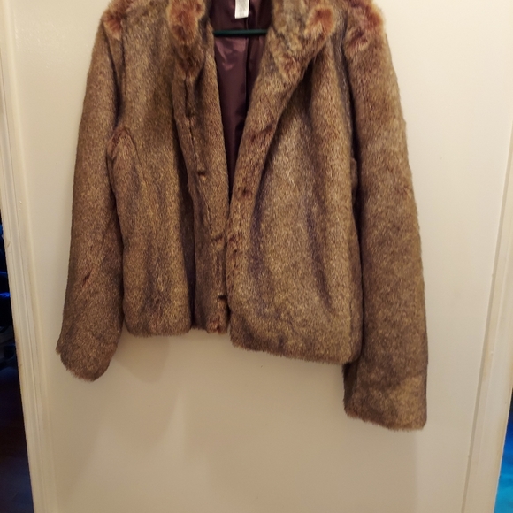 Jacket - Picture 2 of 4